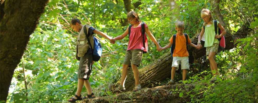 hiking children trees 1024 home page